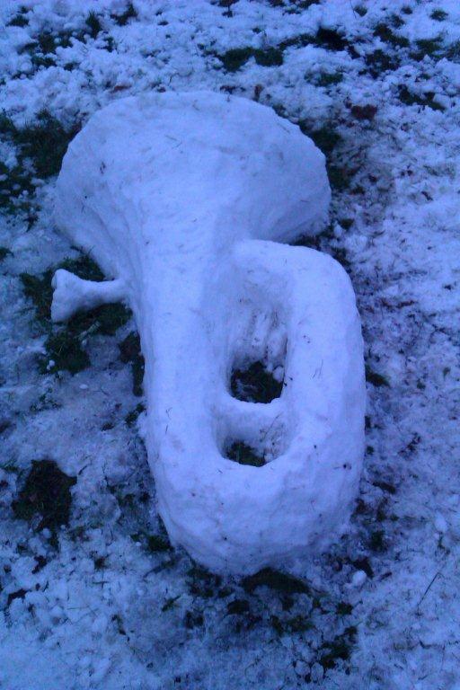 snowtuba.jpg